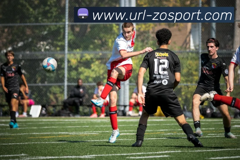 中欧足球官网服务体系